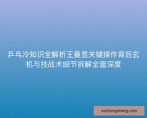 乒乓冷知识全解析王曼昱关键操作背后玄机与技战术细节拆解全面深度