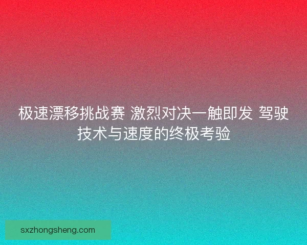 极速漂移挑战赛 激烈对决一触即发 驾驶技术与速度的终极考验