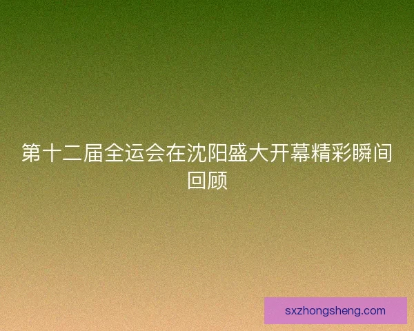 第十二届全运会在沈阳盛大开幕精彩瞬间回顾
