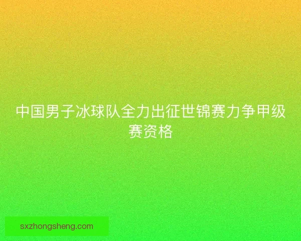 中国男子冰球队全力出征世锦赛力争甲级赛资格 中国男子冰球队全力出征世锦赛力争甲级赛资格